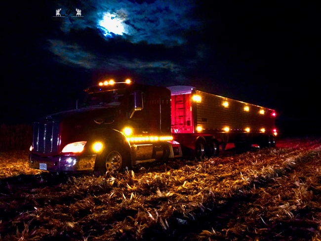 Truck at night - Gingerich Farms