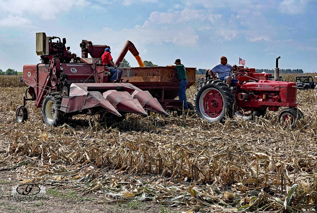 Combine - Gingerich Farms