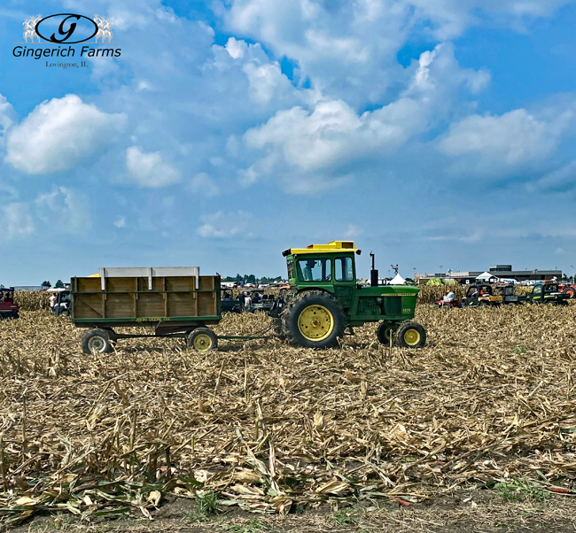 Auger Cart - Gingerich Farms