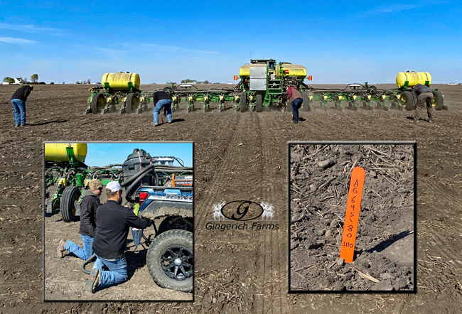 Marking rows - Gingerich Farms