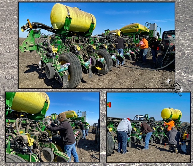 Plot corn - Gingerich Farms