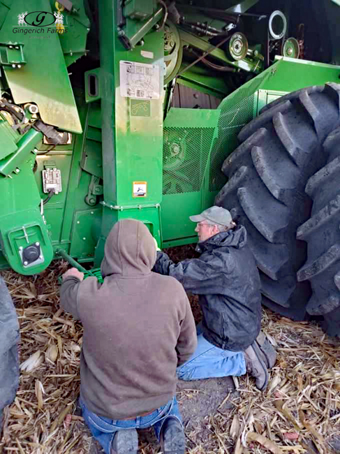 Working on combine - Gingerich Farms