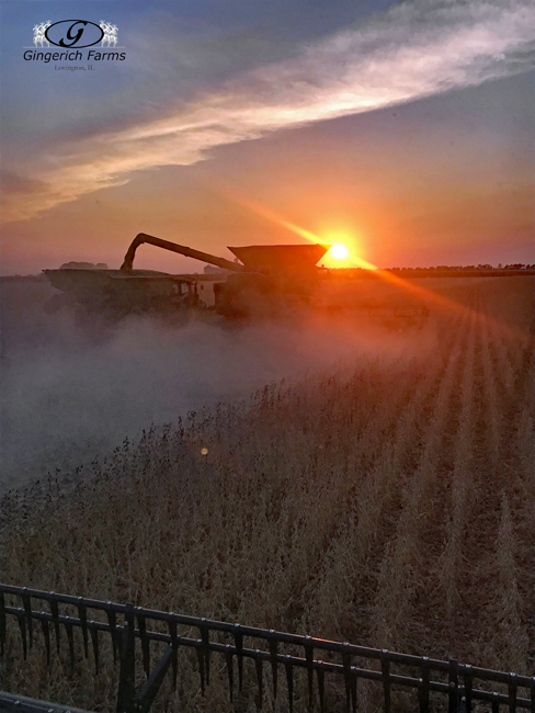 Sunset - Gingerich Farms