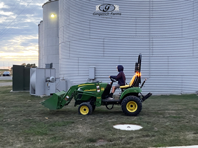 Spencer at Gingerich Farms