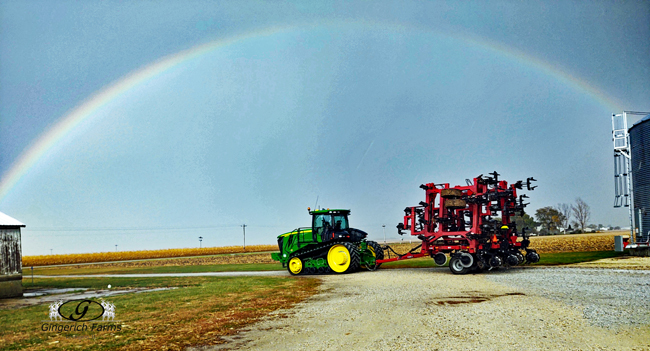 Rainbow - Gingerich Farms