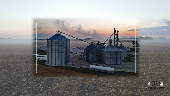 Foggy morning - Gingerich Farms