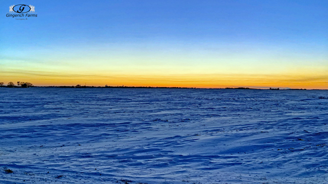 Snowy sunset - Gingerich Farms