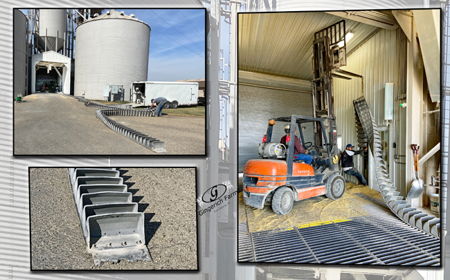 Conveyor belt - Gingerich Farms