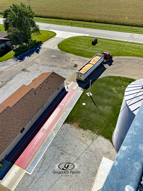 Grain truck - Gingerich Farms