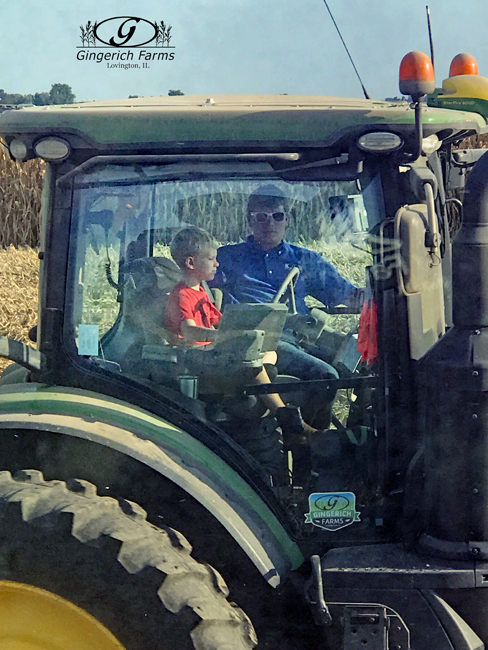 Driving Auger cart at Gingerich Farms