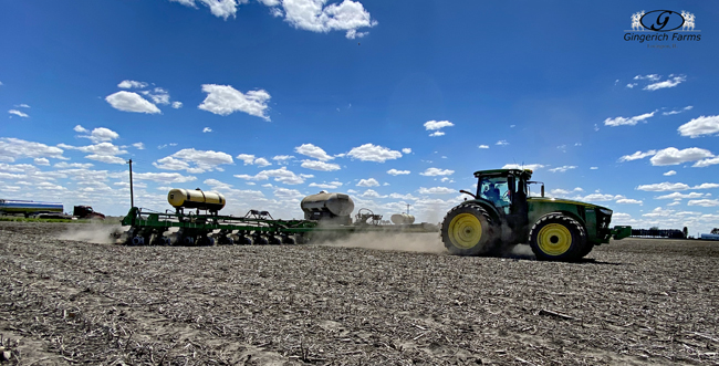 Striptill - Gingerich Farms