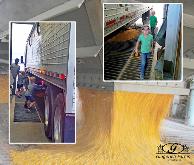 Unloading at Gingerich Farms