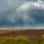 March 7, 2026 Farm update