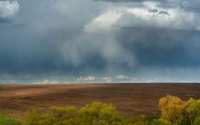 March 7, 2026 Farm update