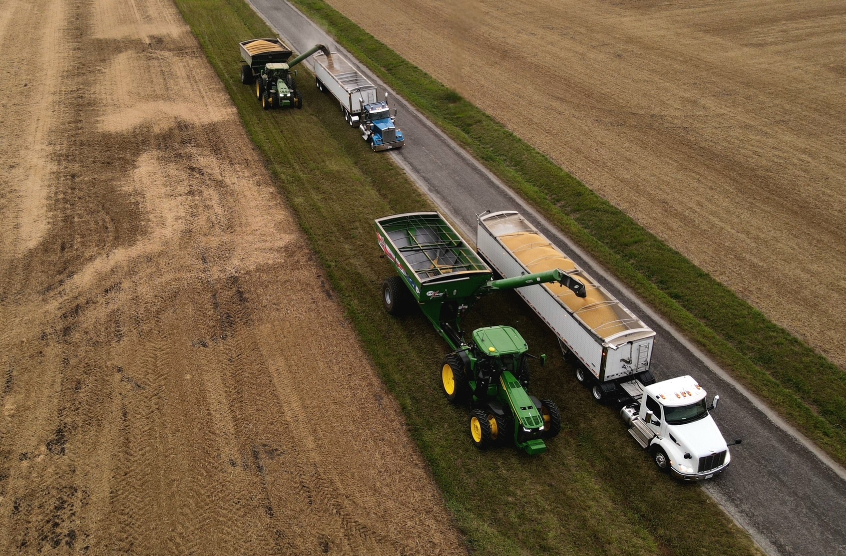Harvesting October 8, 2026