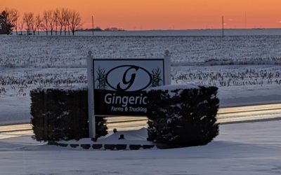 December 17, 2025: Farm Update