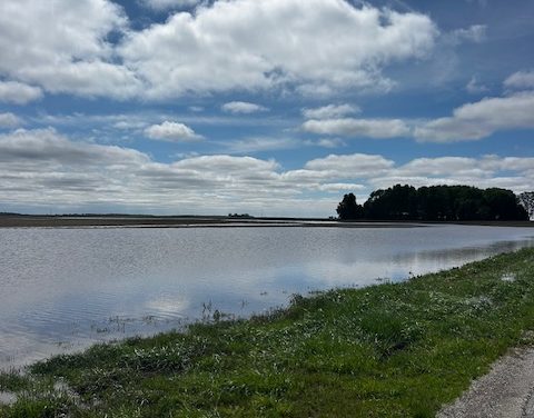 April 29, 2026 Farm update