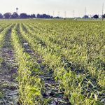 September 21, 2026 Farm update