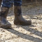August 25, 2026 Farm update