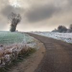 December 5, 2025: Farm Update